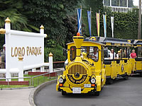 Ett gratiståg från Puerto de la Cruz