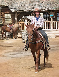 Ridande cowboy och hästar